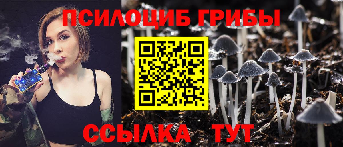 A PVP СК кристаллы  Вход с VPN  ГАШИШ  Кодеин  Губкин  Меф МЯУ МЯУ  Конопля  МЕФ кристаллы 
