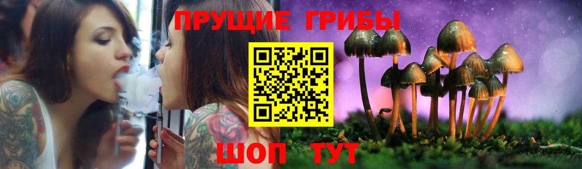 Галлюциногенные грибы Cubensis Губкин
