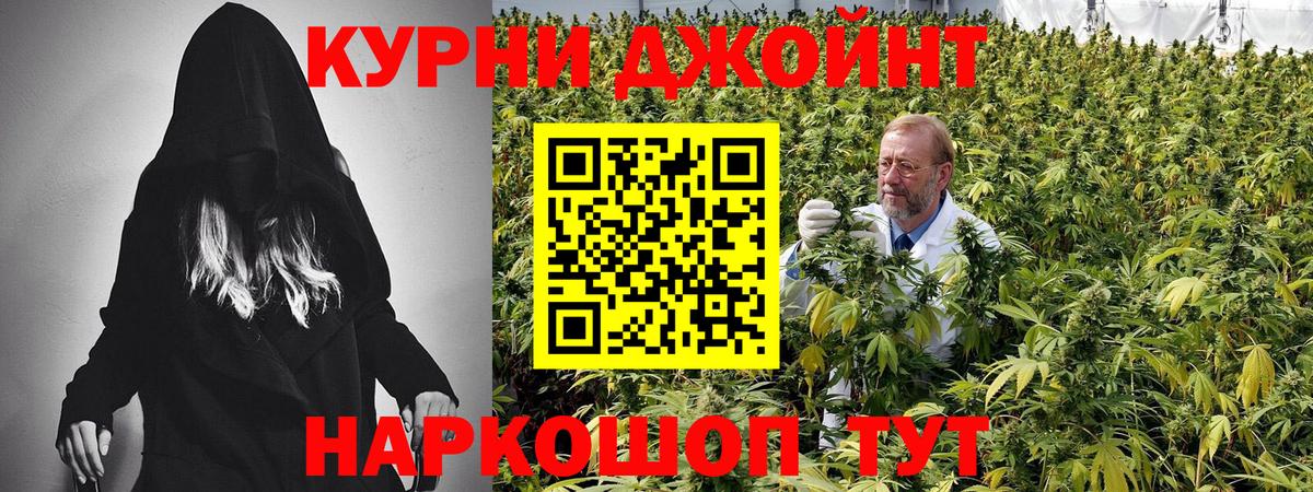 Конопля OG Kush Губкин